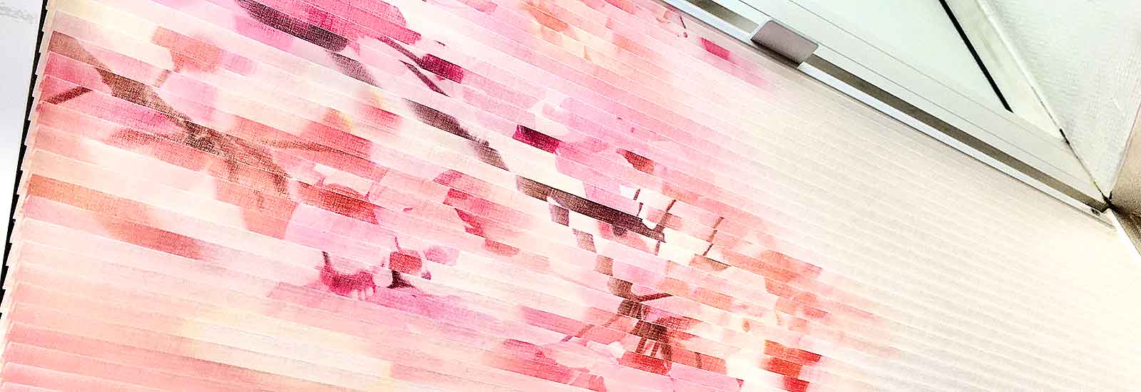 Plissee idealer Sichtschutz für alle Fenster